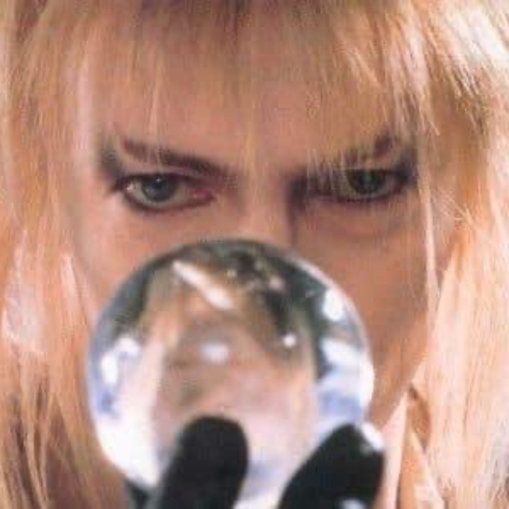 Meet your Posher, Posh